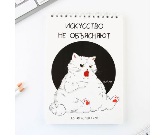 Скетчбук А5, 40 л 100 г/м2 "Кот" 9240906 9240906