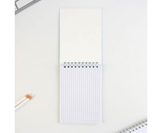 Блокнот А6, 40 л на гребне, мягкая обложка "Енотик - блокнотик" 9322253 9322253