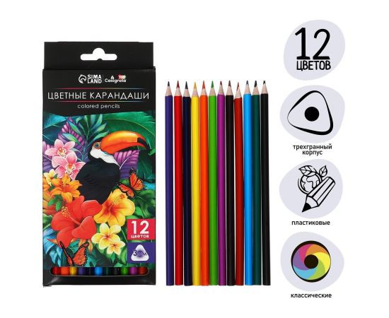 Карандаши 12 цветов Calligrata Soft, заточенные, трехгранные, пластиковые, картонная упаковка, европодвес 9904957
