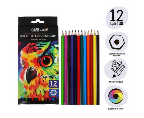Карандаши 12 цветов Calligrata Soft, заточенные, шестигранные, пластиковые, картонная упаковка, европодвес 9904958