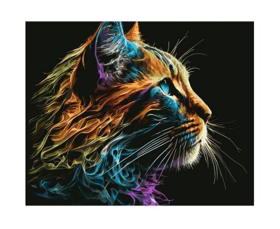 Рисование по номерам на чёрном холсте 40*50см  "Кот" DV-14437