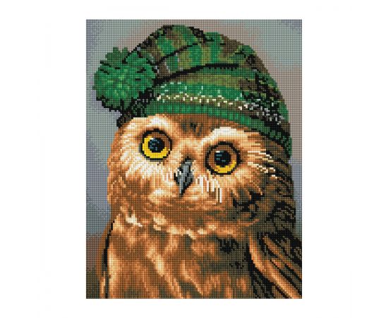 Алмазная мозаика ТРИ СОВЫ "Сова", 30*40см, холст, картонная коробка с пластиковой ручкой АМ3040_47542