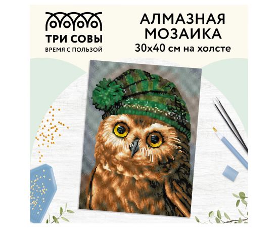 Алмазная мозаика ТРИ СОВЫ "Сова", 30*40см, холст, картонная коробка с пластиковой ручкой АМ3040_47542