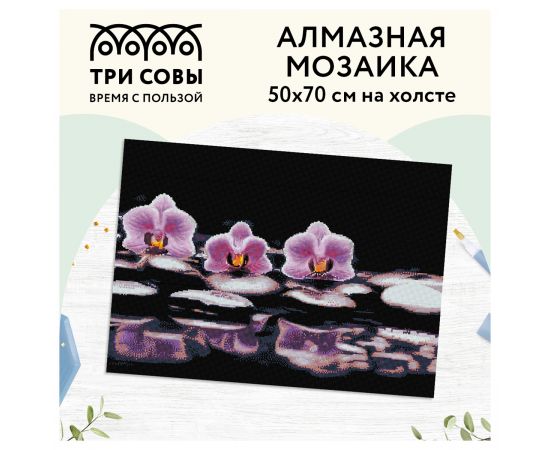Алмазная мозаика ТРИ СОВЫ "Орхидеи", 50*70см, холст, картонная коробка с пластиковой ручкой АМ5070_47577