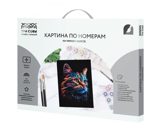 Картина по номерам на черном холсте ТРИ СОВЫ "Неоновый кот", 30*40, c акриловыми красками и кистями КХп_48146