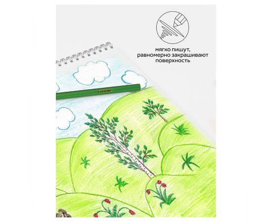 Карандаши цветные Гамма "Классические", 06цв., заточен., картон. упаковка, европодвес 050918_01_01