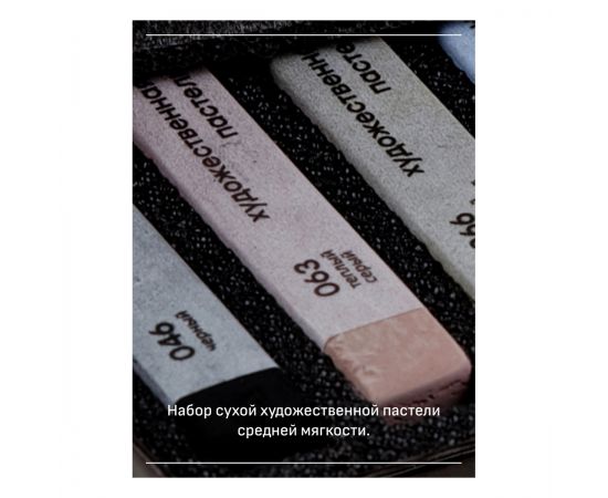 Пастель художественная Гамма "Старый мастер. Портрет", 12 цветов, картон. упаковка 2309192