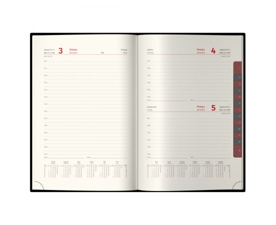 Ежедневник датированный 2025г., А4-(В5), 184л., Delucci, Гладкая кожа, зол. срез, коричневый DD5_89402