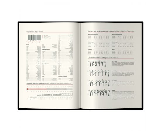 Ежедневник датированный 2025г., А6, 184л., Delucci, Гладкая кожа, зол. срез, черный DD5_89601