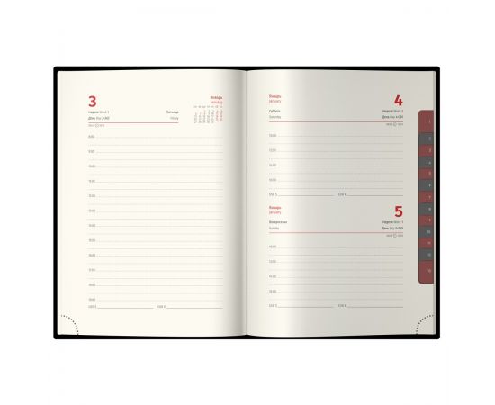 Ежедневник датированный 2025г., А6, 184л., Delucci, Гладкая кожа, зол. срез, коричневый DD5_89602