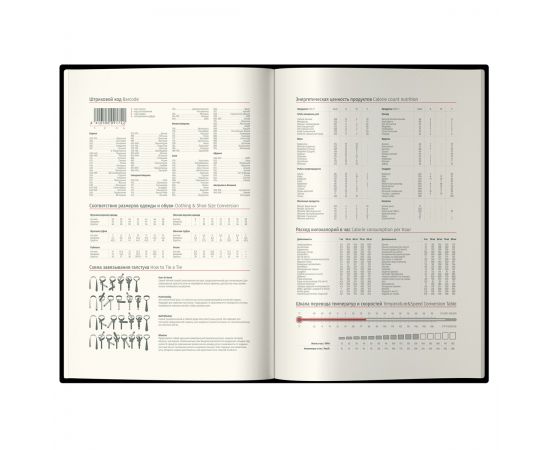 Ежедневник датированный 2025г., А5, 184л., Delucci, Фактурная кожа, зол. срез, коричневый DD5_90502