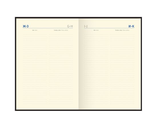 Ежедневник недатированный, А5, 160л., кожа, Delucci, гладкая кожа, золот. срез, черный UD1_89501