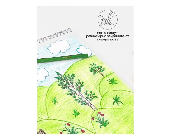 Карандаши цветные Гамма "Классические", 18цв., заточен., картон. упаковка, европодвес 050918_03_03