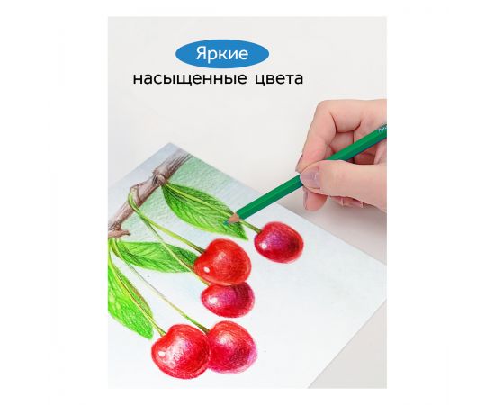 Карандаши цветные Гамма "Классические", 18цв., заточен., картон. упаковка, европодвес 050918_03_03