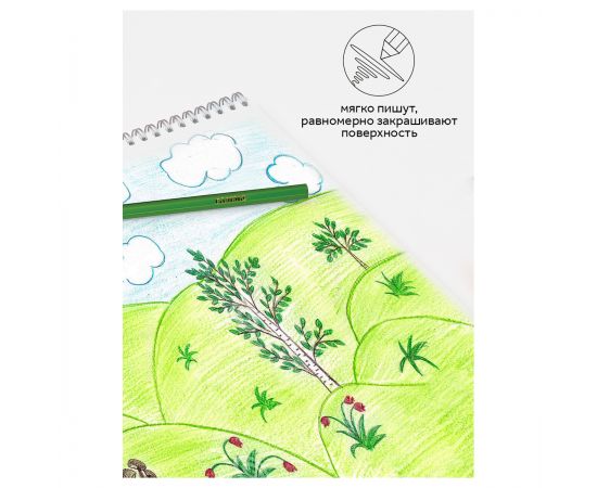 Карандаши цветные Гамма "Классические", 24цв., заточен., картон. упаковка, европодвес 050918_04_04