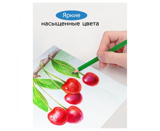 Карандаши цветные Гамма "Классические", 24цв., заточен., картон. упаковка, европодвес 050918_04_04