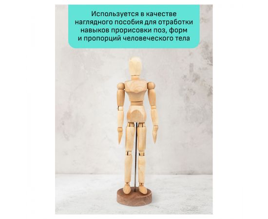Манекен человека художественный Гамма "Студия", мужской, деревянный, 20см 180520217