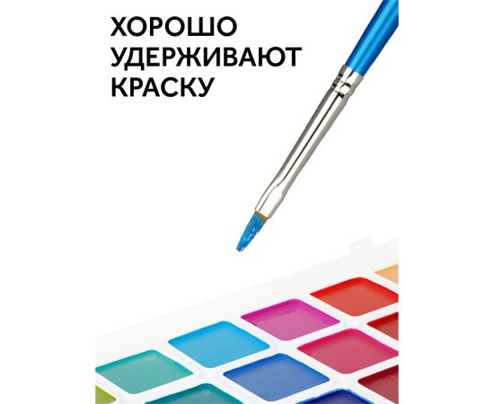 Набор кистей Гамма "Классические" 5шт., синтетика, круглые № 1, 3, 5, плоские № 5, 8, блистер, европодвес 280618.09.06