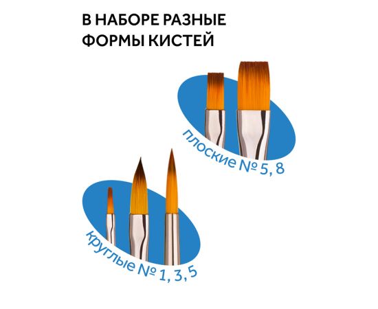 Набор кистей Гамма "Классические" 5шт., синтетика, круглые № 1, 3, 5, плоские № 5, 8, блистер, европодвес 280618.09.06