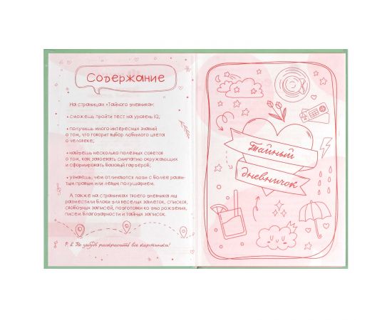 Тайный дневник арт. 62912 ПРИЯТНЫЕ МЕЛОЧИ / А6+, 96 л., твёрдый переплёт 7БЦ, полноцветная печать, тиснение цветной фольгой, глянцевая ламинация. Блок - белый офсет, 65 г/м², печать в одну краску (пан 62912