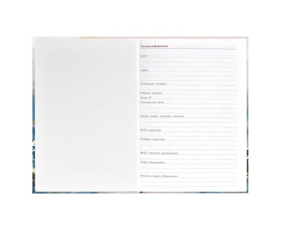 Записная книга учителя, преподавателя арт. 65094 ФАКТУРА / А5 96 л., блок - печать в две краски, твёрдый переплёт 7БЦ, глянцевая ламинация, тиснение фольгой/ 65094