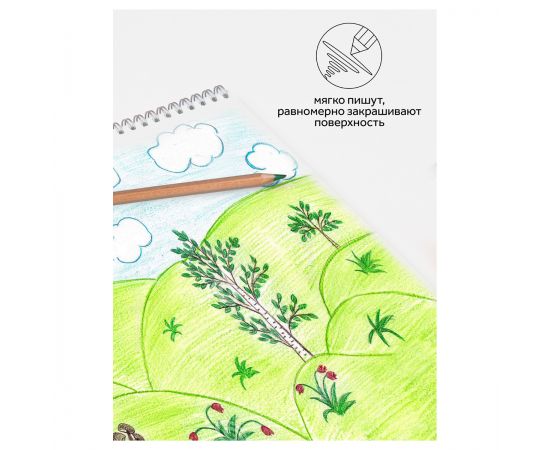 Карандаши цветные Гамма "Мультики", 24цв., супермягкие, увелич. диаметр грифеля 4,0мм, заточен., картон. упак., европодвес 80220218
