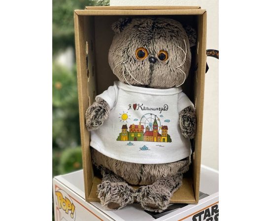 Басик в футболке с принтом "Калининград" Ks22-203 Ks22-203