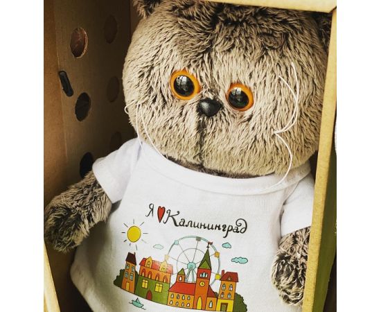 Басик в футболке с принтом "Калининград" Ks22-203 Ks22-203