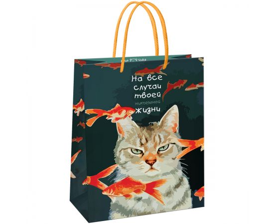 Пакет подарочный 11*14*6,5см MESHU "Moody cat",  глянцевая ламинация MS_61595