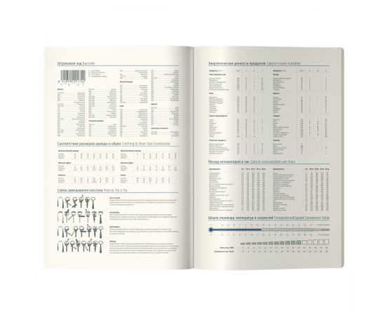 Ежедневник недатированный, А5, 136л., кожзам, Berlingo "Collision XS", серебряный срез, с рисунком UD3_01S19