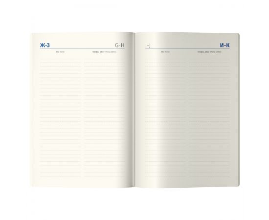 Ежедневник недатированный, А5, 136л., кожзам, Berlingo "Collision XS", серебряный срез, с рисунком UD3_01S19