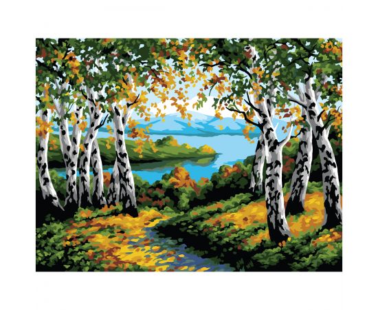 Картина по номерам на картоне ТРИ СОВЫ "Березовая роща", 30*40, с акриловыми красками и кистями КК_53769