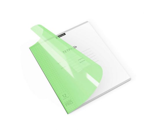 Тетрадь школьная ученическая с пластиковой обложкой на скобе ErichKrause Классика CoverPrо Neon, зеленый, А5+, 12 листов, клетка 012015254-56348