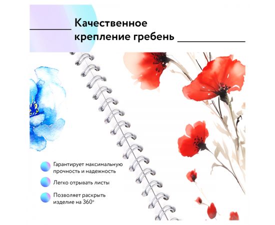 Альбом для рисования 40л., А4, на гребне BG "Хвостатый гонщик" А4гр40 12483