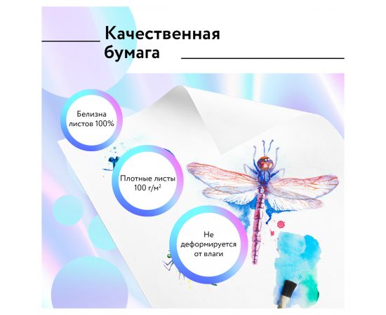 Альбом для рисования 40л., А4, на гребне BG "Хвостатый гонщик" А4гр40 12483