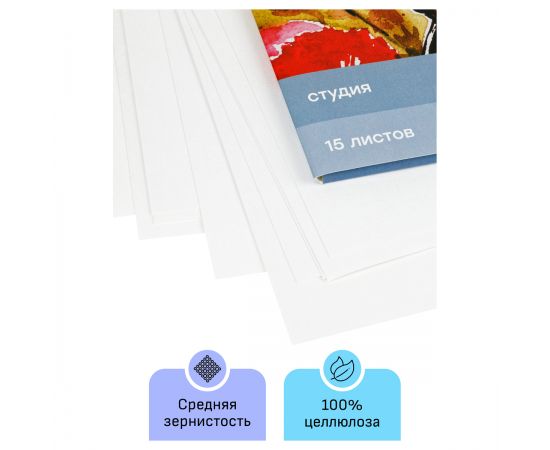 Папка для акварели, 15л., А4, Гамма "Студия", 200г/м2, среднее зерно 40C03F715W