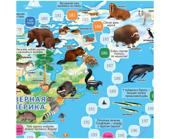 Игра-ходилка настольная ГЕОДОМ "Животный мир Земли", с фишками 4607177452845