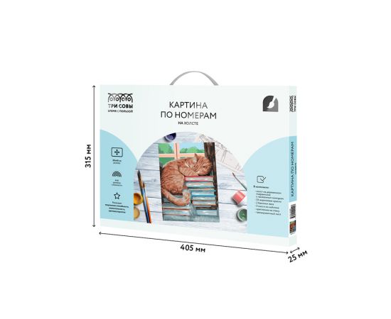 Картина по номерам на холсте ТРИ СОВЫ "Дневной сон", 30*40, с акриловыми красками и кистями КХ_44100