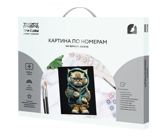 Картина по номерам на черном холсте ТРИ СОВЫ "Стильный кот", 40*50, c акриловыми красками и кистями КХп_48163