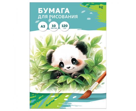 Папка для рисования А3, 10л., BG, 120г/м2 Пр10А3_58059
