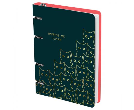 Тетрадь на кольцах А5, 100л., MESHU "Amazing cats", картон, матовая ламинация, выборочный УФ-лак MS_50665