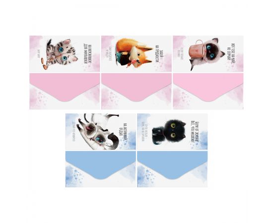 Конверт для денег MESHU "Cute kittens" 85*164мм, матовая ламинация, 5 дизайнов MS_65061