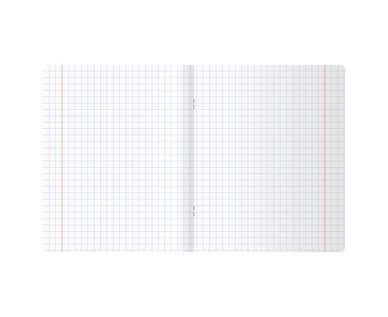 Тетрадь 12л., крупная клетка BG "Настоящие фрукты?" Т5ск12 55432