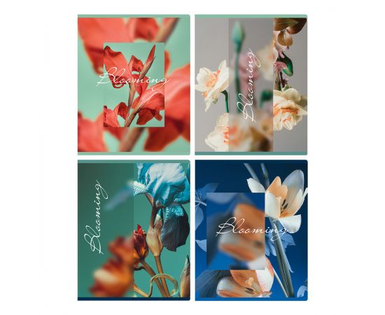 Тетрадь 48л., А5, клетка BG "Blooming", матовая ламинация Т5ск48_мл 12712