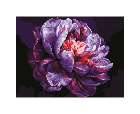 Картина по номерам на картоне ТРИ СОВЫ "Сиреневый пион", 30*40, с акриловыми красками и кистями КК3040_57382