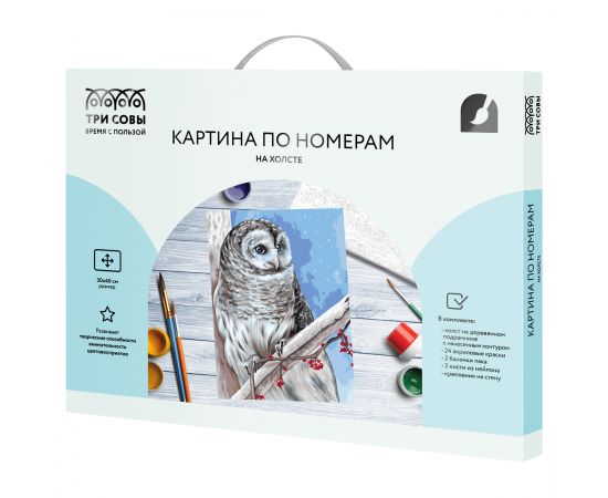 Картина по номерам на холсте ТРИ СОВЫ "Белая сова", 30*40, с акриловыми красками и кистями КХ3040_53849
