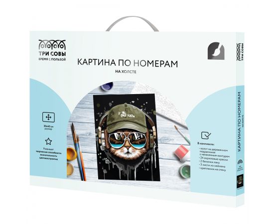 Картина по номерам на холсте ТРИ СОВЫ "Кот меломан", 30*40, с акриловыми красками и кистями КХ3040_53866