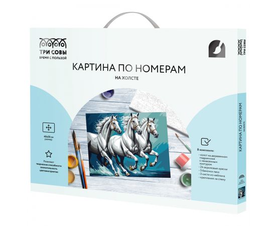 Картина по номерам на холсте ТРИ СОВЫ "Белая тройка", 40*50, с акриловыми красками и кистями КХ4050_53930