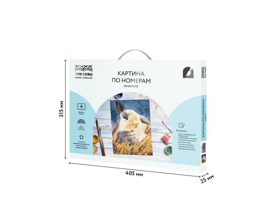 Картина по номерам на холсте ТРИ СОВЫ "Кролик", 30*40, с акриловыми красками и кистями КХ_44099