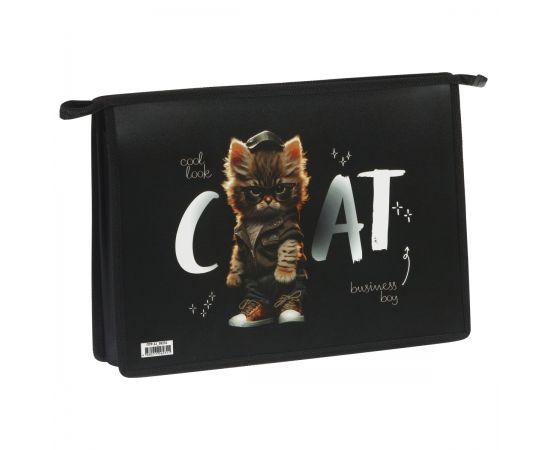 Папка для труда 2 отделения, А4, ArtSpace "Cat life", пластик, на молнии ПТР-22_58231
